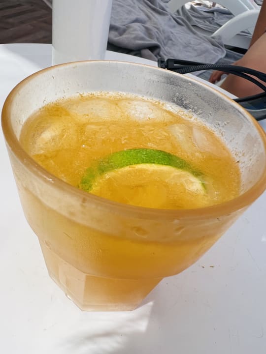 Gastro Paloma Oceana