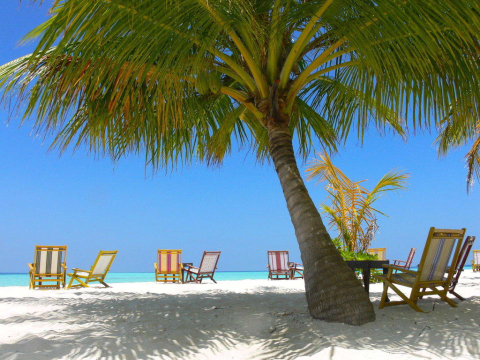 Sunset-Bar I Vilamendhoo Island Resort & Spa