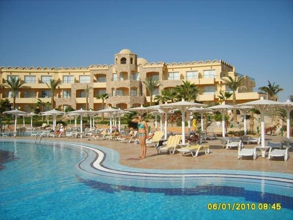 Nochmals Pool Utopia Beach Club