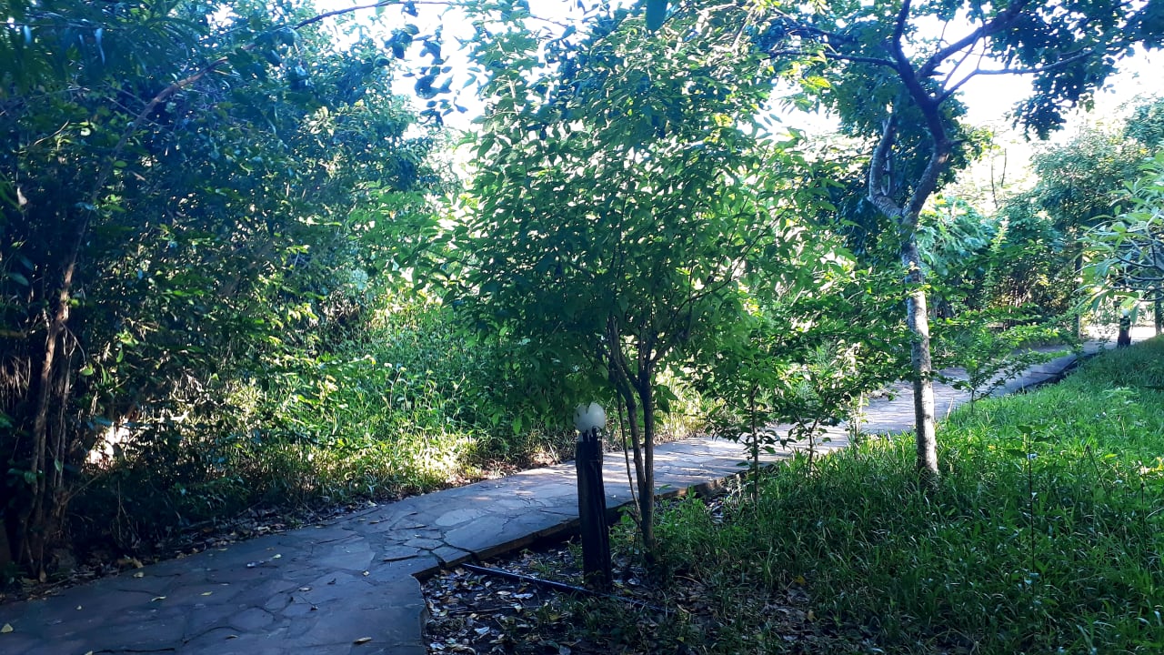 Gartenanlage Spice Island Hotel & Resort