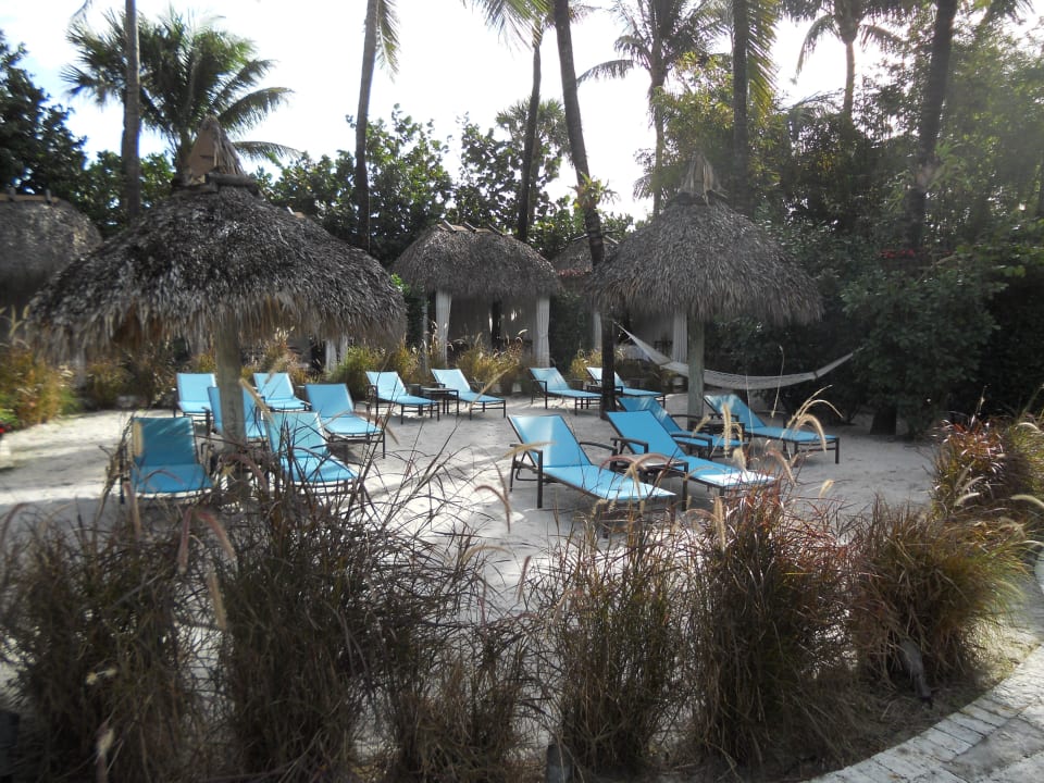 Poolbereich The Palms Hotel & Spa