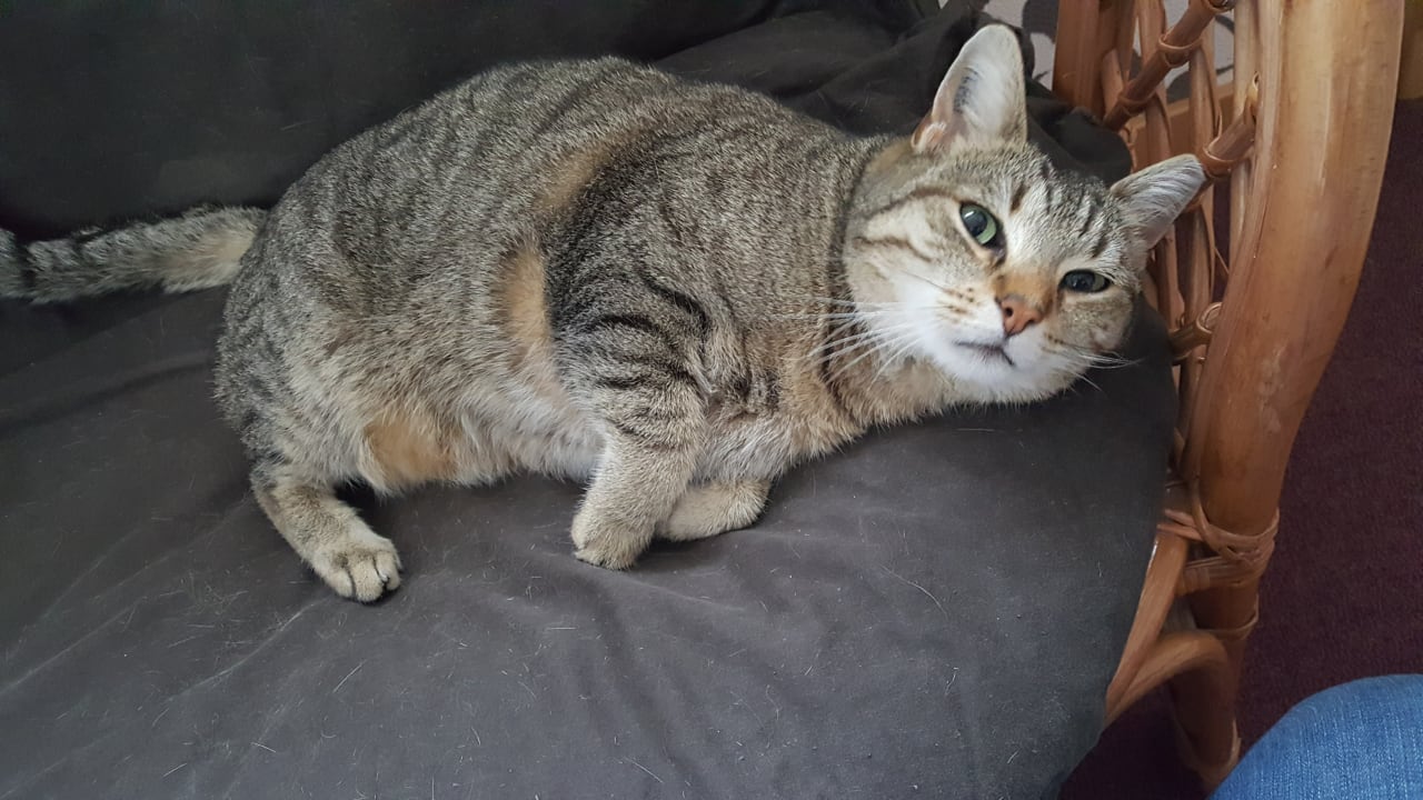 Sonstiges Gästehaus Weingut Helbighof