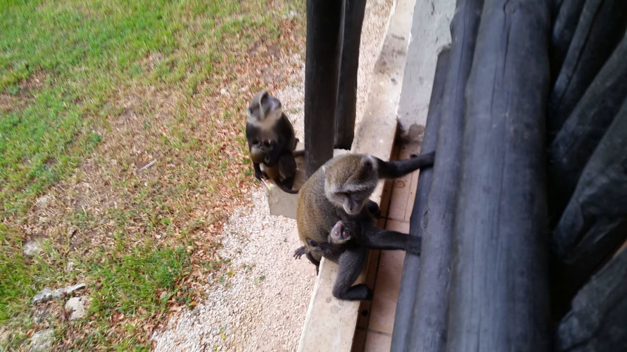 Hotel Baobab Beach Resort Baobab Beach Resort & Spa