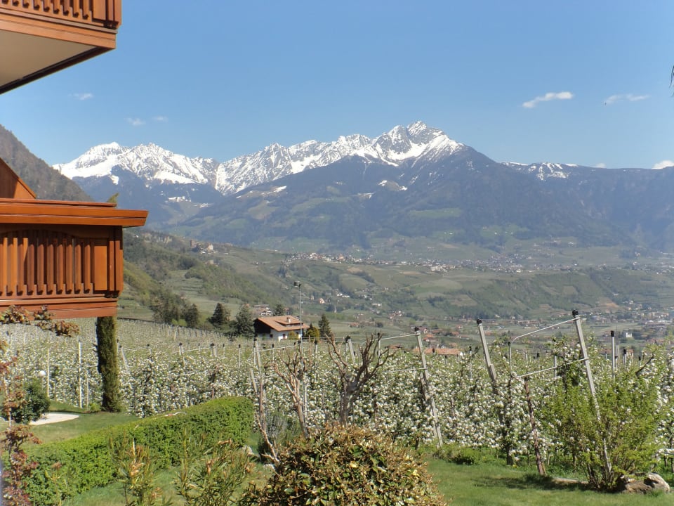 Ausblick Pension Plarserhof
