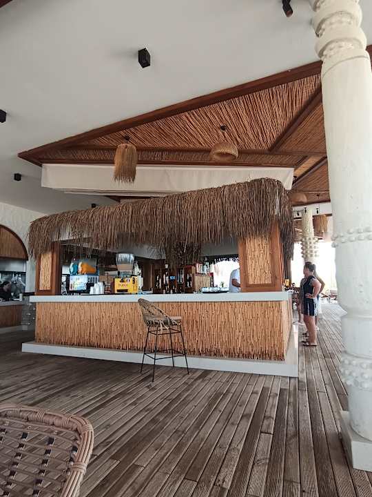 Gastro Seashell Vega