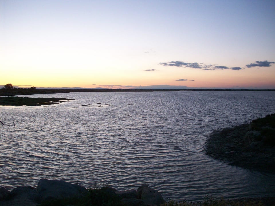 Angrenzendes Naturschutzgebiet  Camping & Bungalows de la Brise