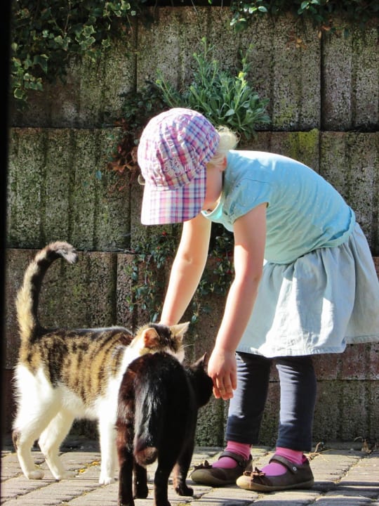 Sonstiges Ferienhof Dingeldey