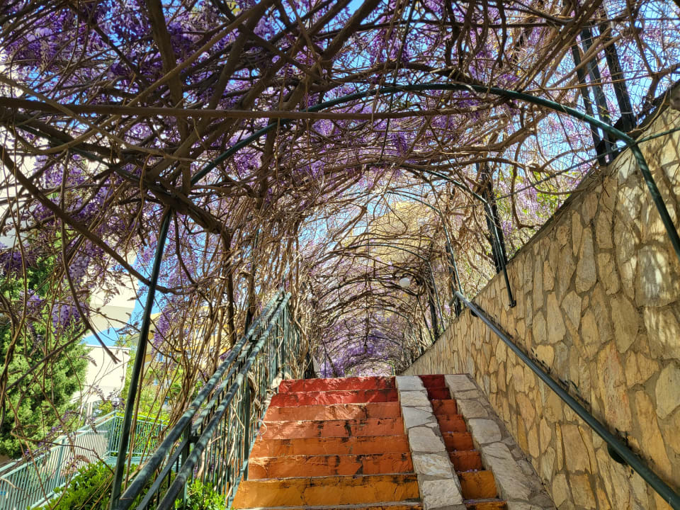 Gartenanlage Hotel Club Paradiso