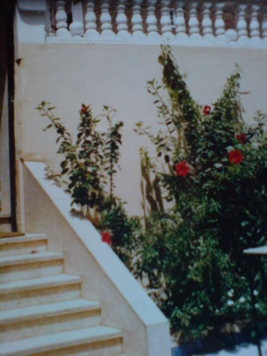 Garten Hotel Little Garden