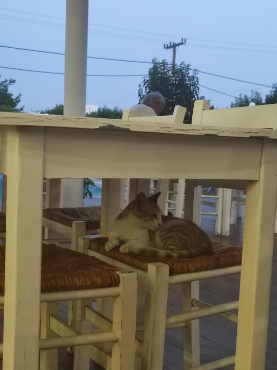 Sonstiges Anavadia Hotel