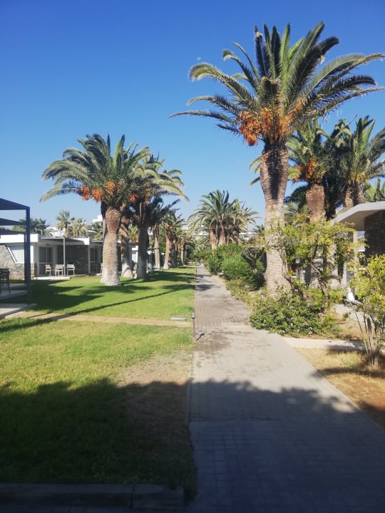 Gartenanlage Civitel Creta Beach