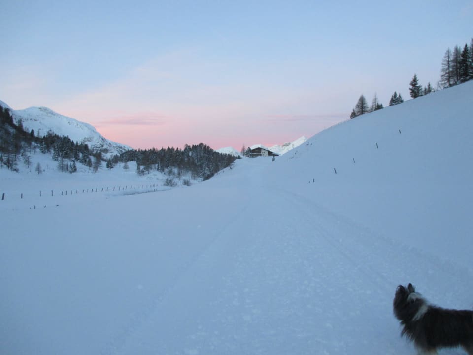 Weningeralm im Morgenrot Weningeralm