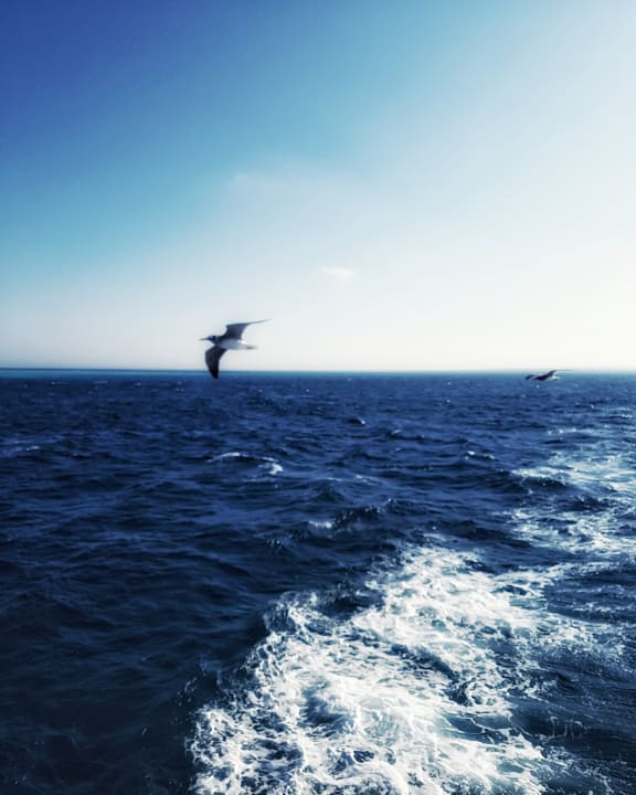 Sport & Freizeit Royal Star Beach Resort