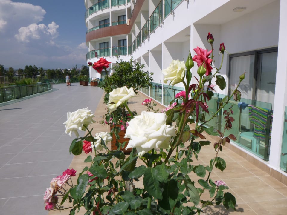 Garten Dream World Aqua Hotel