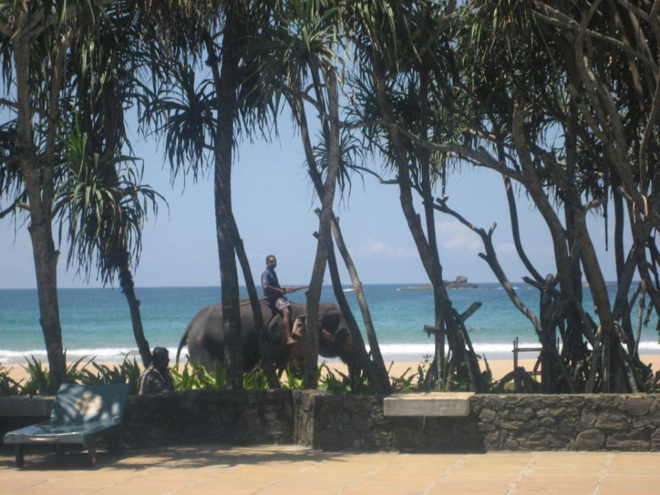 Niecodzienny srodek transportu Thaala Bentota