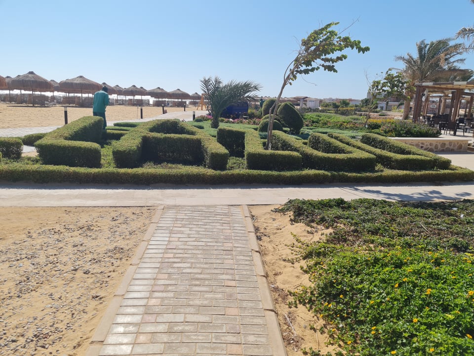 Gartenanlage Lazuli Hotel Marsa Alam
