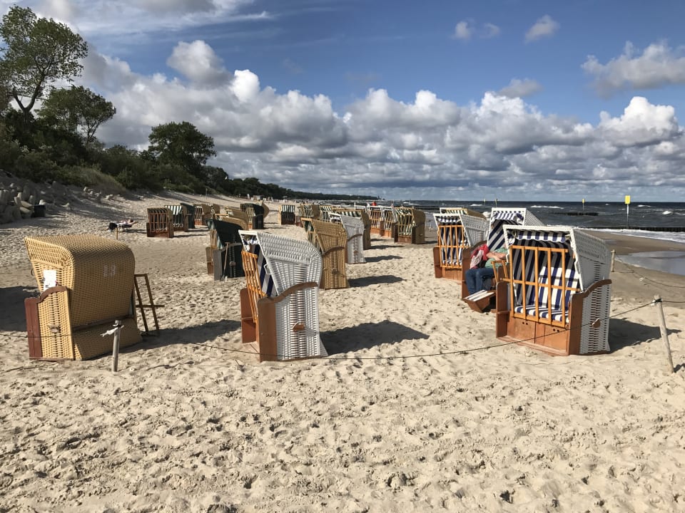 Strand Marine & Ultra Marine