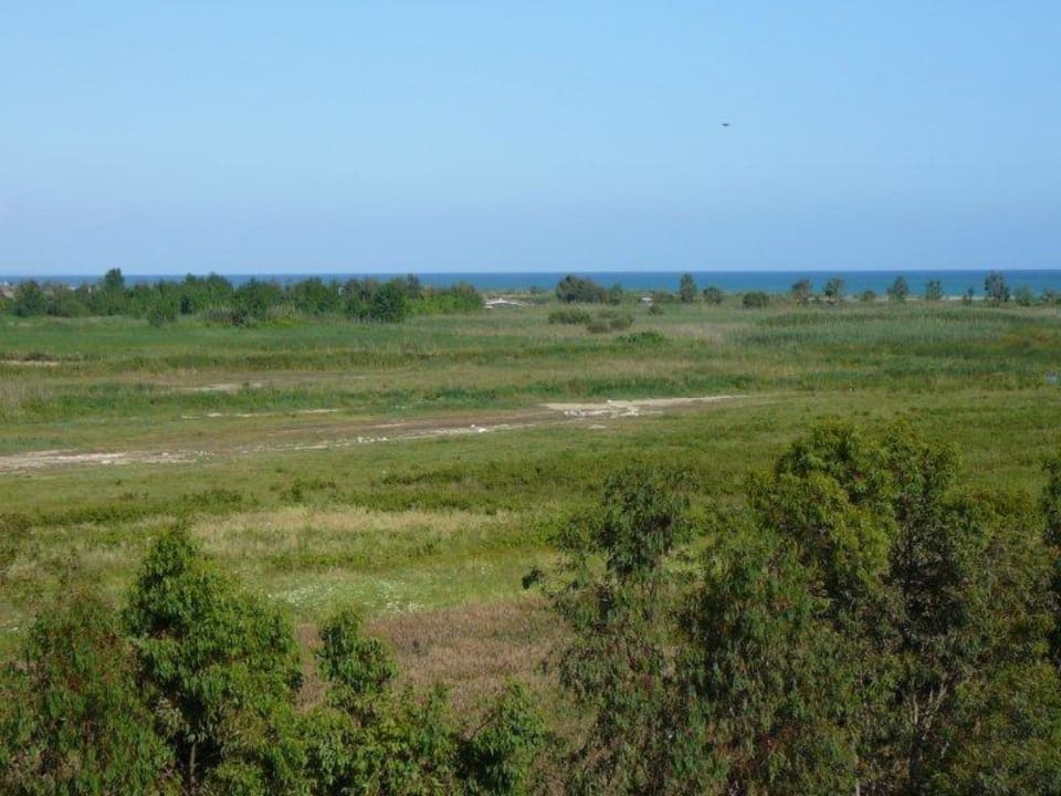 Blick aus dem Zimmer Crystal Paraiso Verde