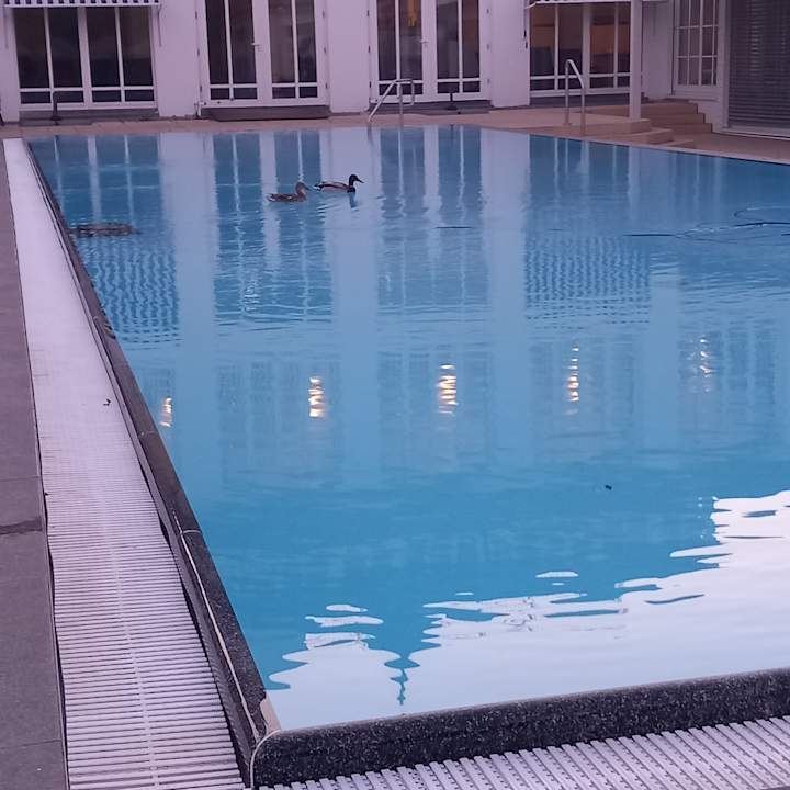 Pool Precise Resort Schwielowsee