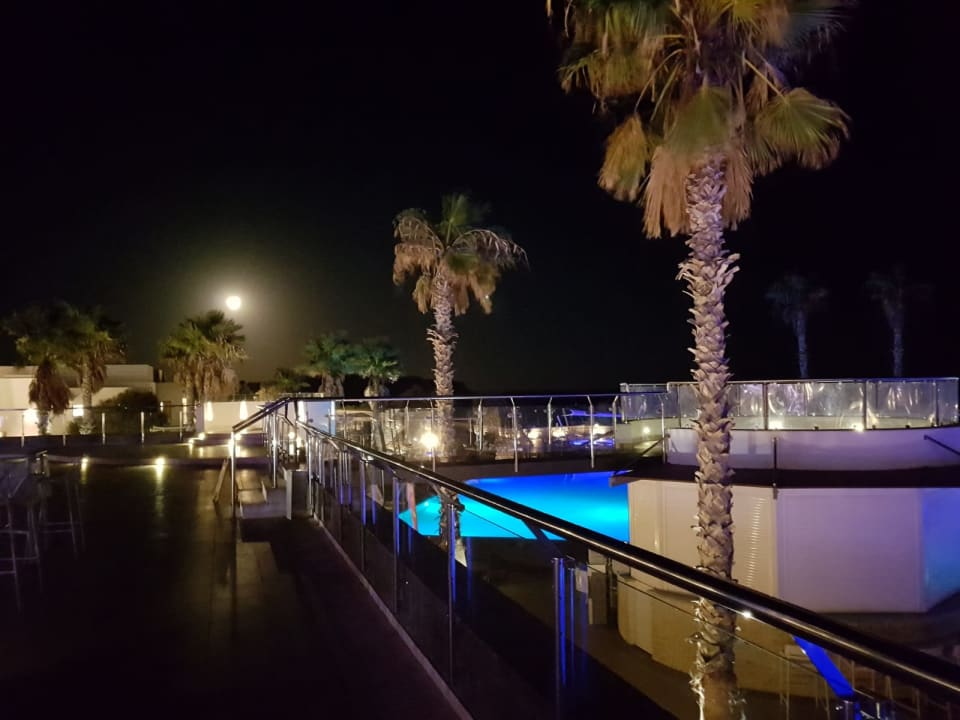 Sonstiges Atlantica Plimmiri