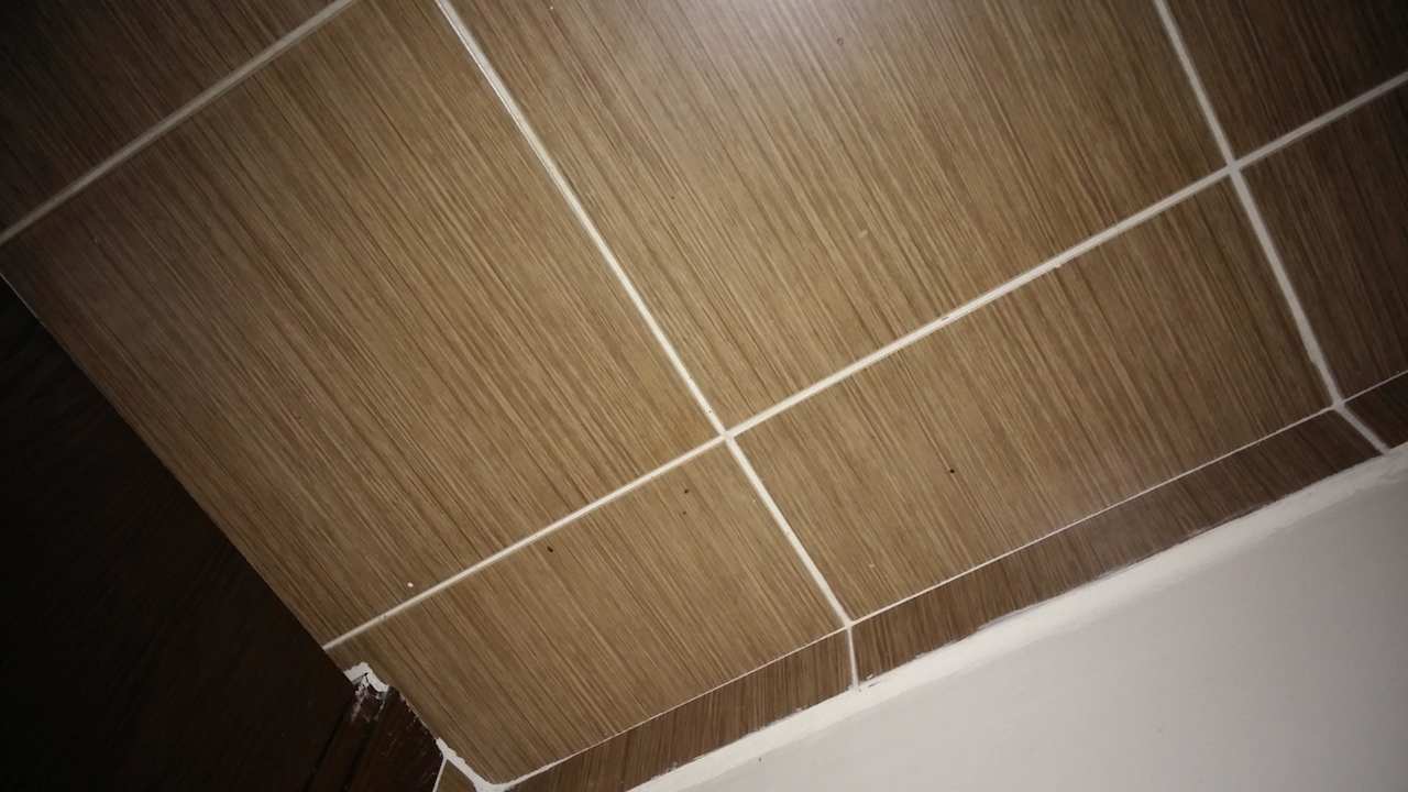 Eingang  Hotel Ideal Beach