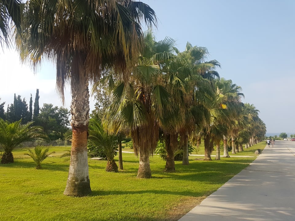 Gartenanlage Club Grand Aqua