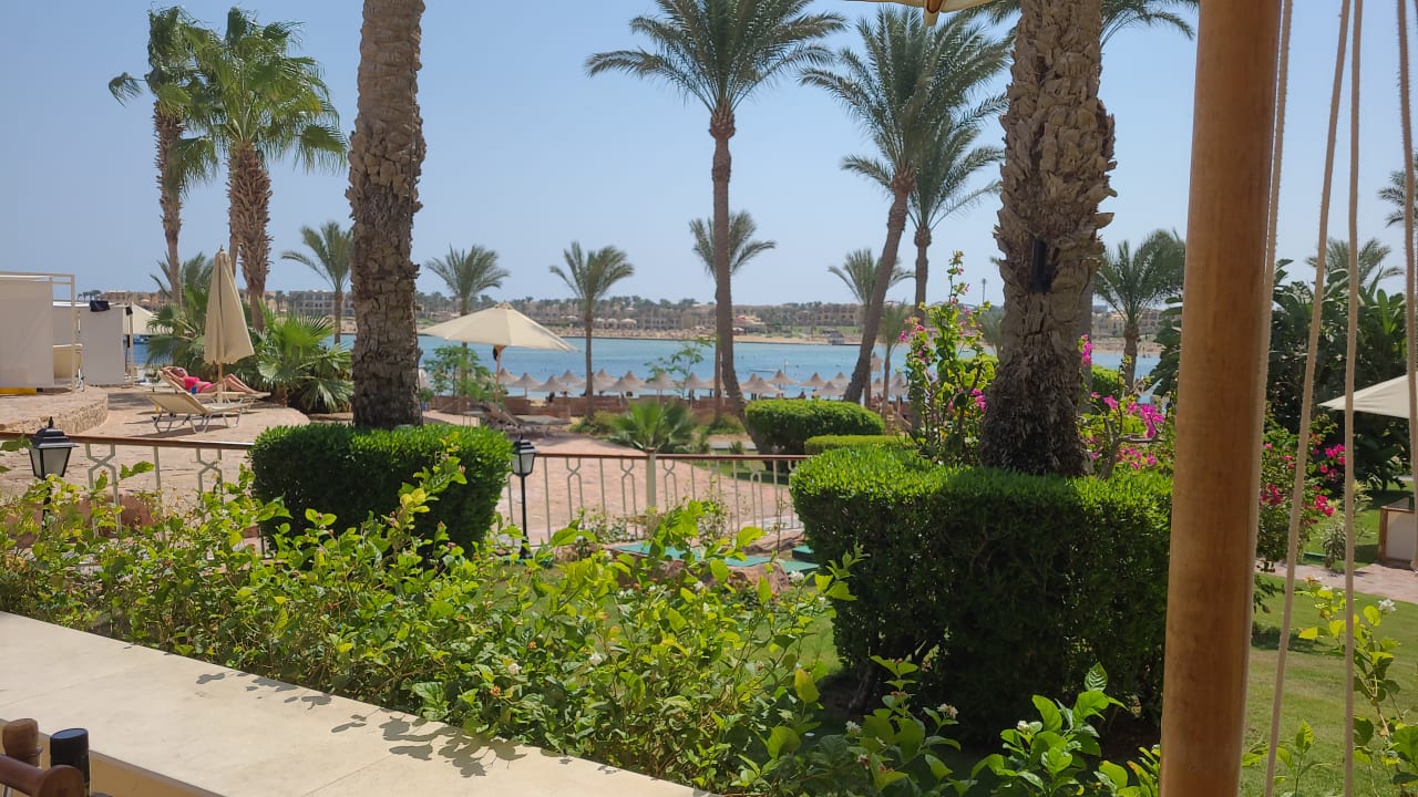 Gartenanlage Steigenberger Coraya Beach - Adults only