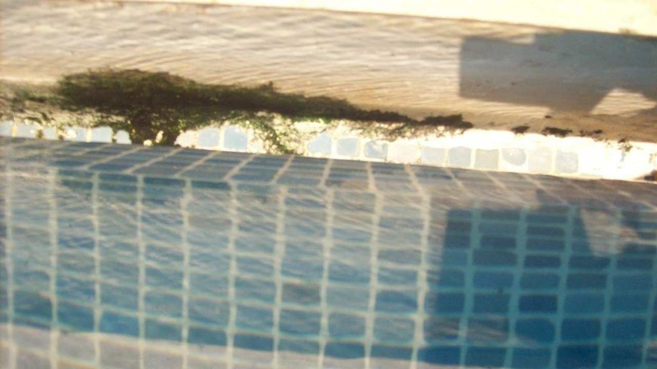 Schimmel - Pool Orient Life Resort Hotel