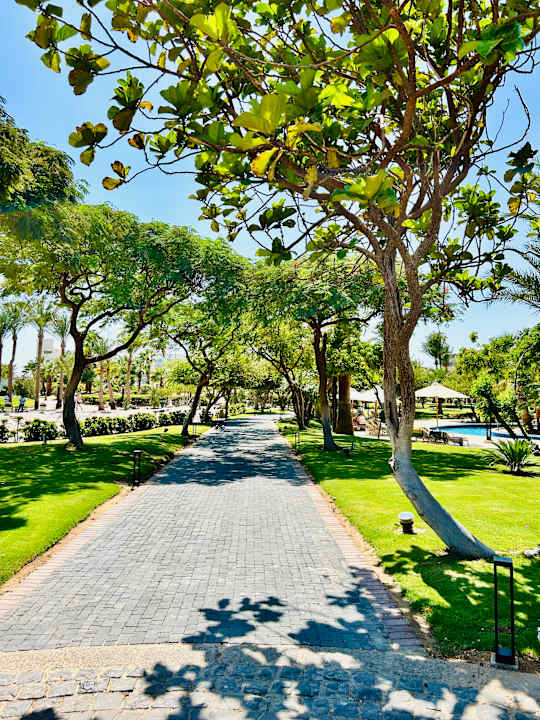 Gartenanlage Steigenberger ALDAU Beach Hotel