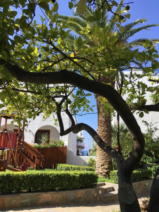 Gartenanlage Alianthos Garden Hotel