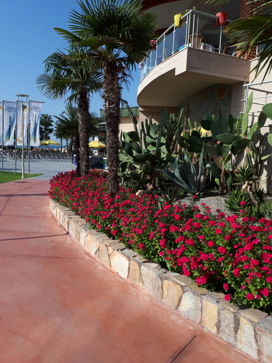 Gartenanlage Pine Beach Belek