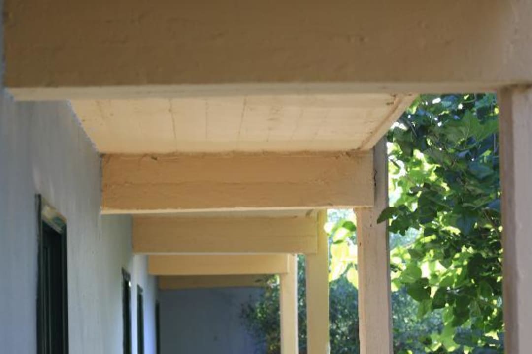 Am Gang Domes Aulūs Zante, Autograph Collection