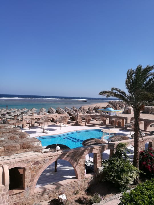 Pool Utopia Beach Club