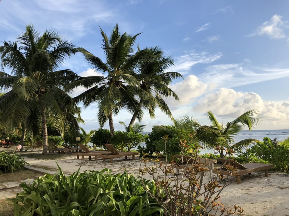 Immer freie Liegen oberhalb vom Strand  La Digue Island Lodge