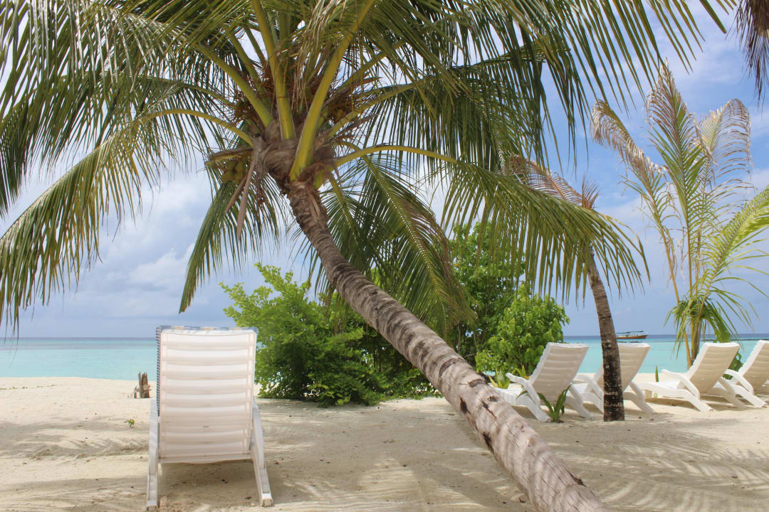 Vom Zimmer aus gesehen Summer Island Maldives