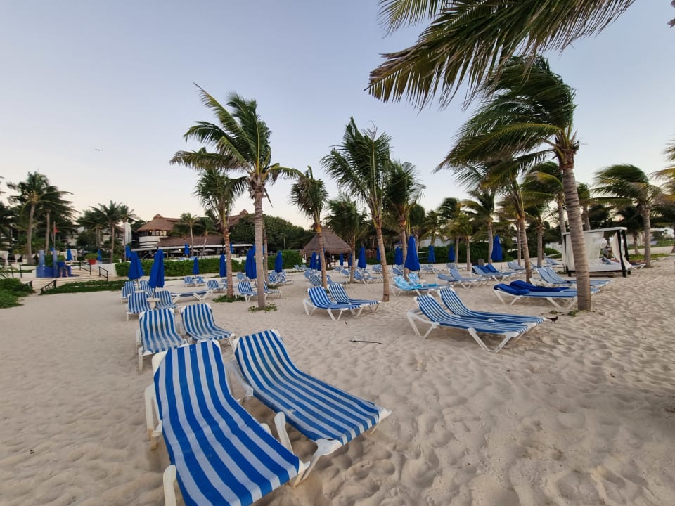 Strand The Reef Playacar