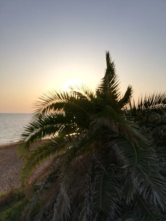 Strand Can Garden Beach