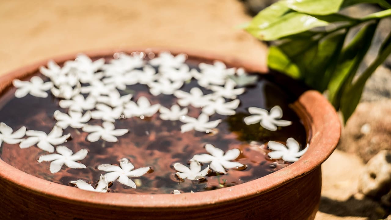 Gartenanlage Marble Beach Airforce Resort