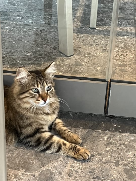 Außenansicht Mare Ayia Napa