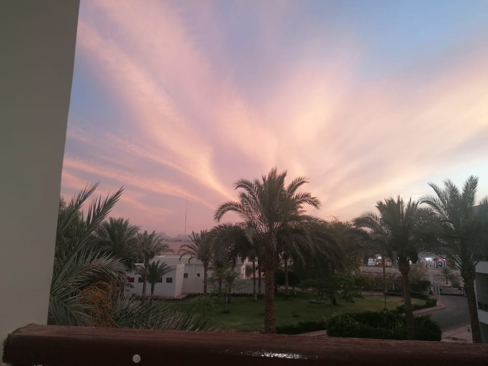 Ausblick Pharaoh Azur Resort