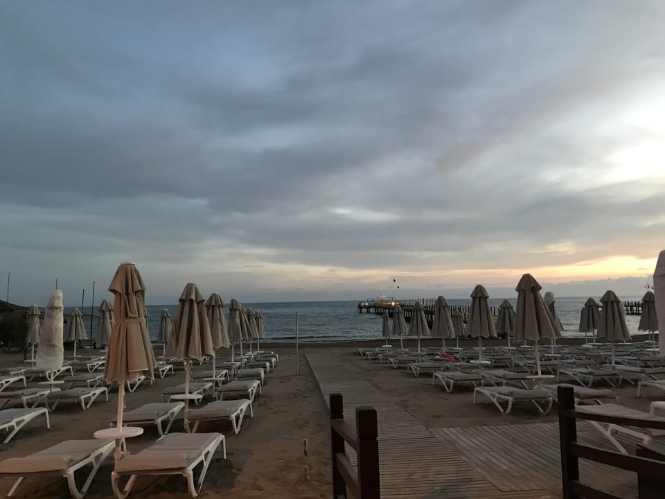 Strand Arum Barut Collection