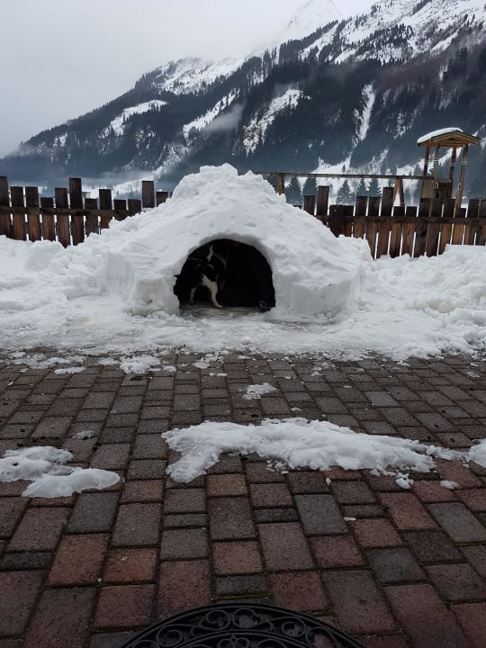 Vor der Tür  Gästehaus Wiesenruh