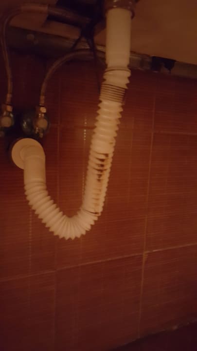 Zimmer GRIFID Aqua Club Bolero