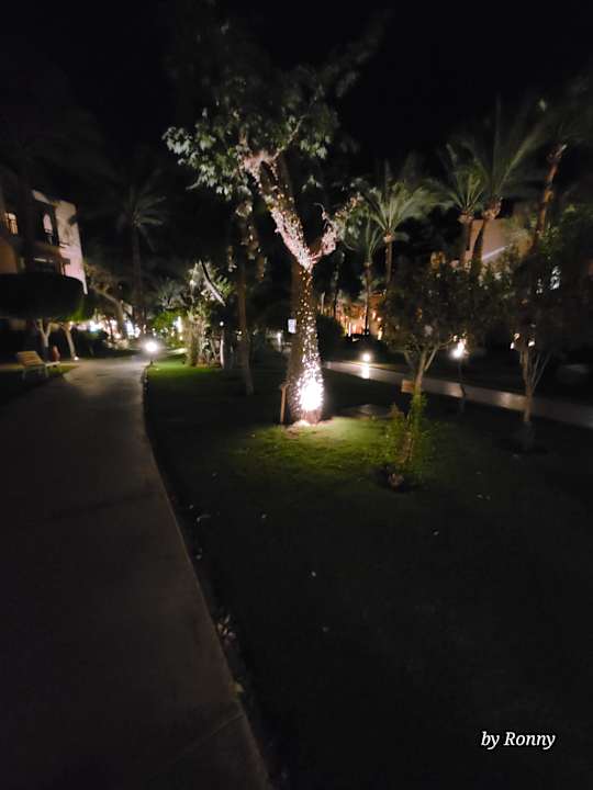 Gartenanlage Jaz Makadi Saraya Resort
