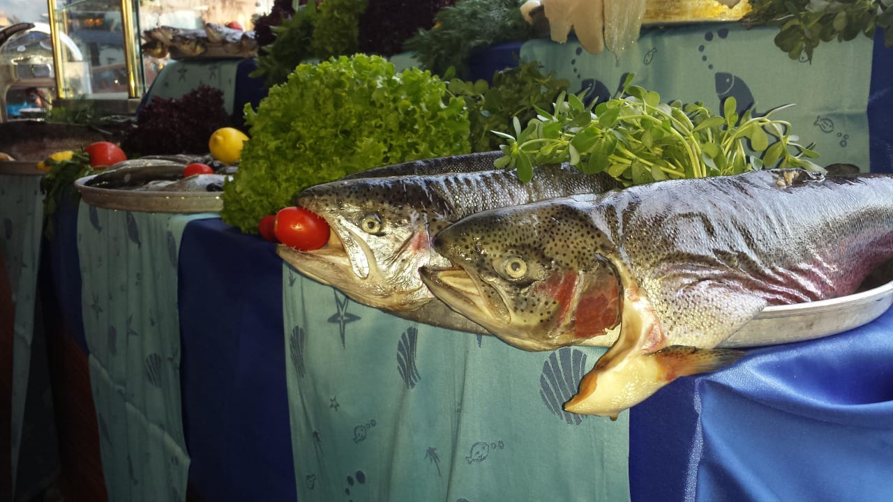 Fisch Granada Luxury Okurcalar