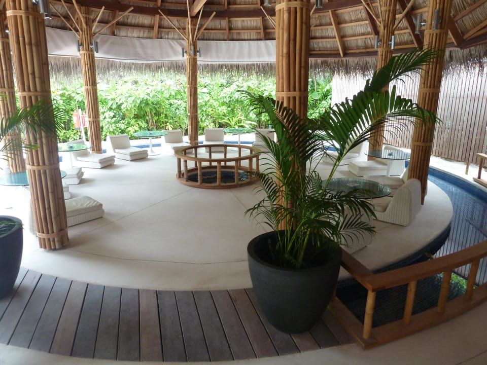 Eisbar Kuramathi Maldives