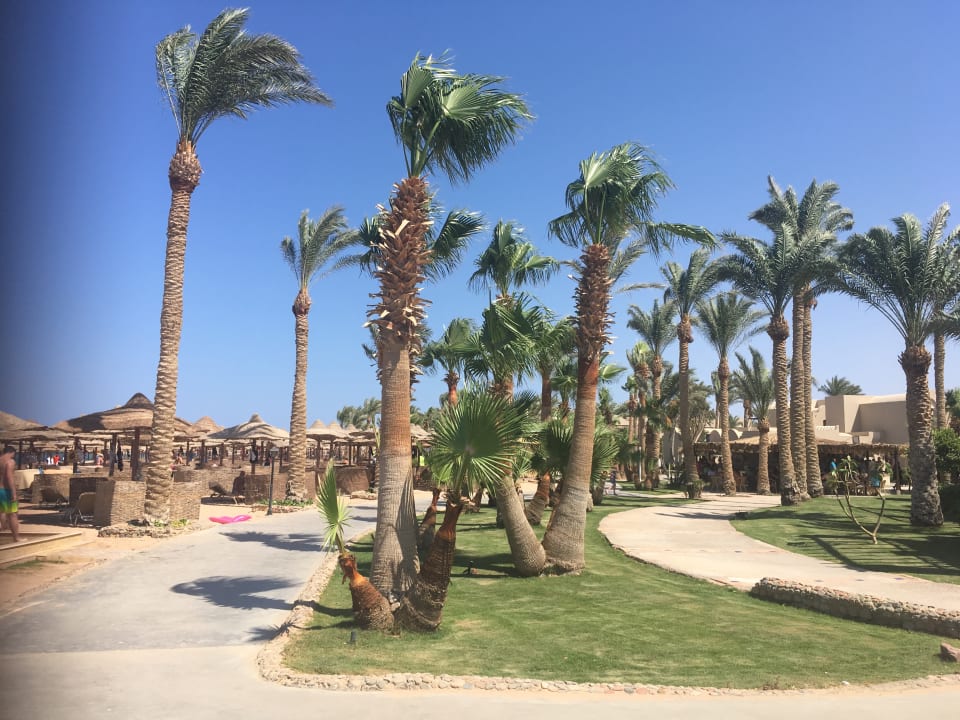 Strandpromenade Hotel JAZ Makadi Star & Spa