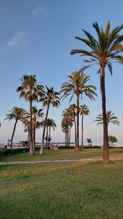 Gartenanlage allsun Hotel Sumba