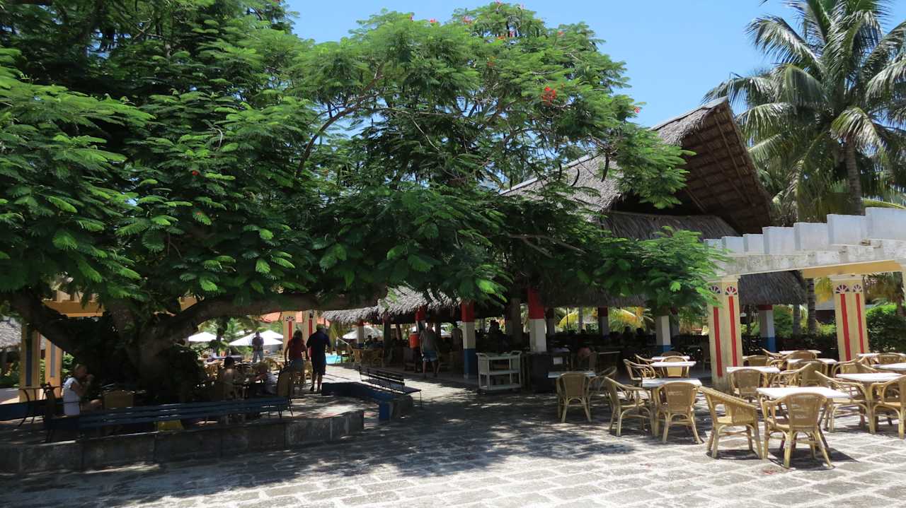 Outside dinig Hotel Roc Barlovento