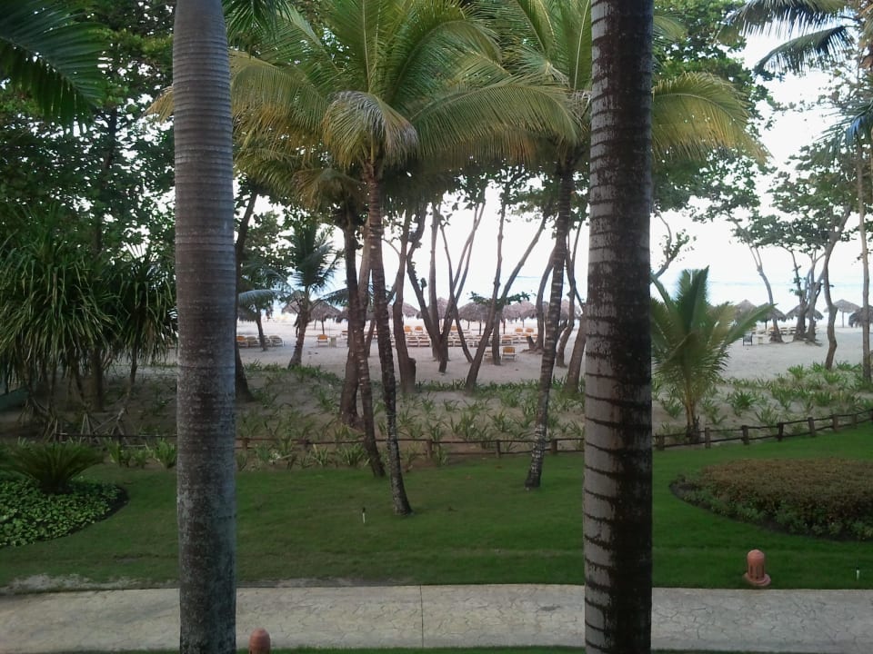 Zimmerausblick Iberostar Waves Costa Dorada